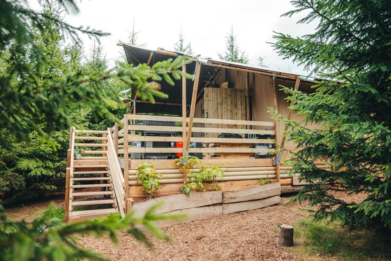 Cosy Forest Lodge Penrhos  ภายนอก รูปภาพ