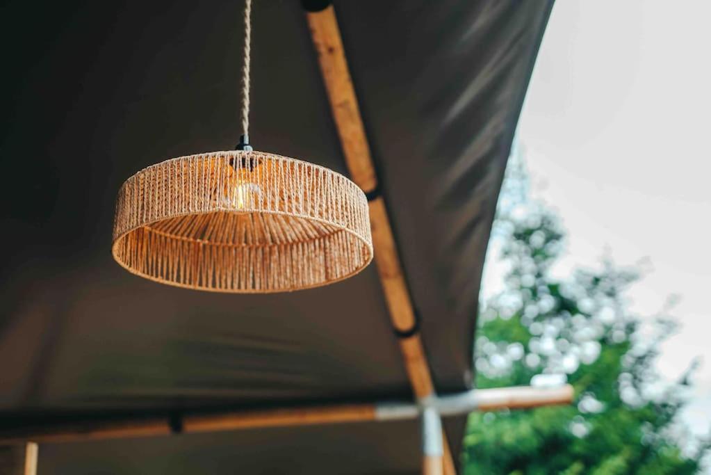 Cosy Forest Lodge Penrhos  ภายนอก รูปภาพ