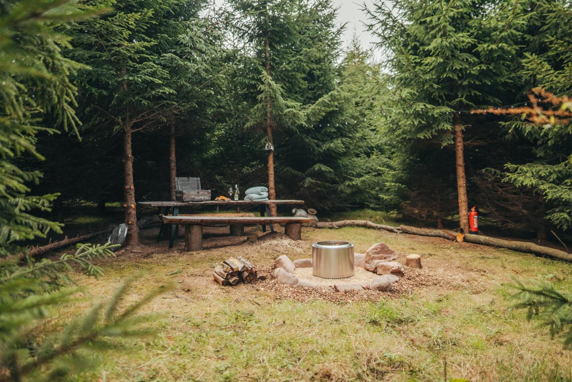 Cosy Forest Lodge Penrhos  ภายนอก รูปภาพ