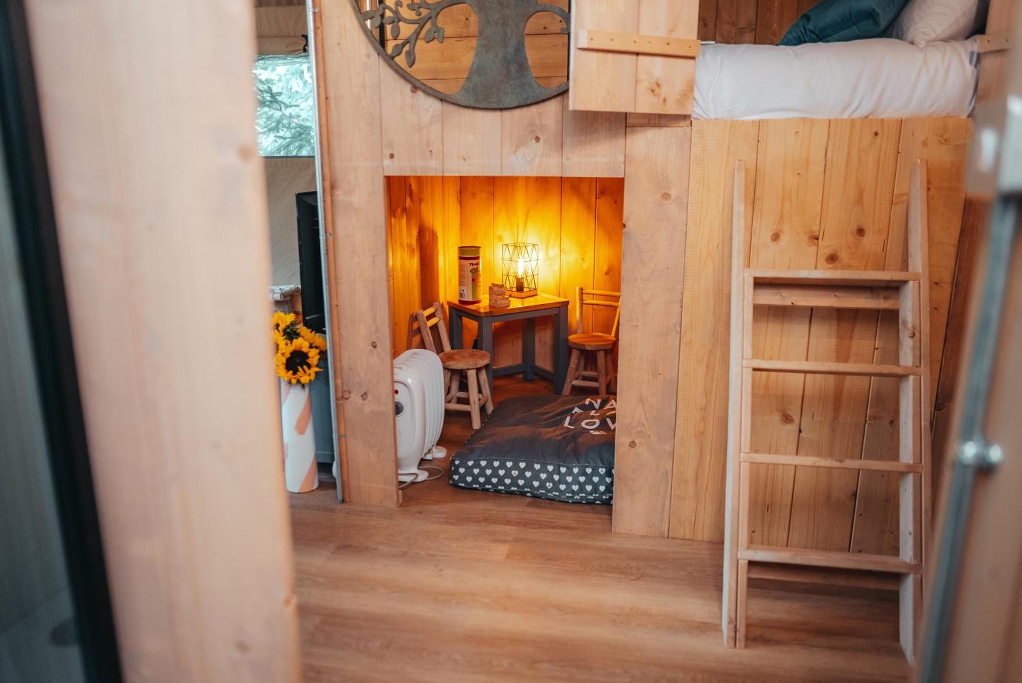 Cosy Forest Lodge Penrhos  ภายนอก รูปภาพ