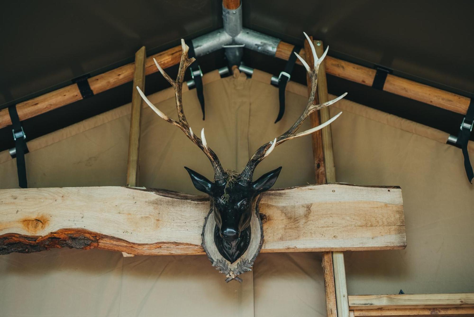 Cosy Forest Lodge Penrhos  ภายนอก รูปภาพ