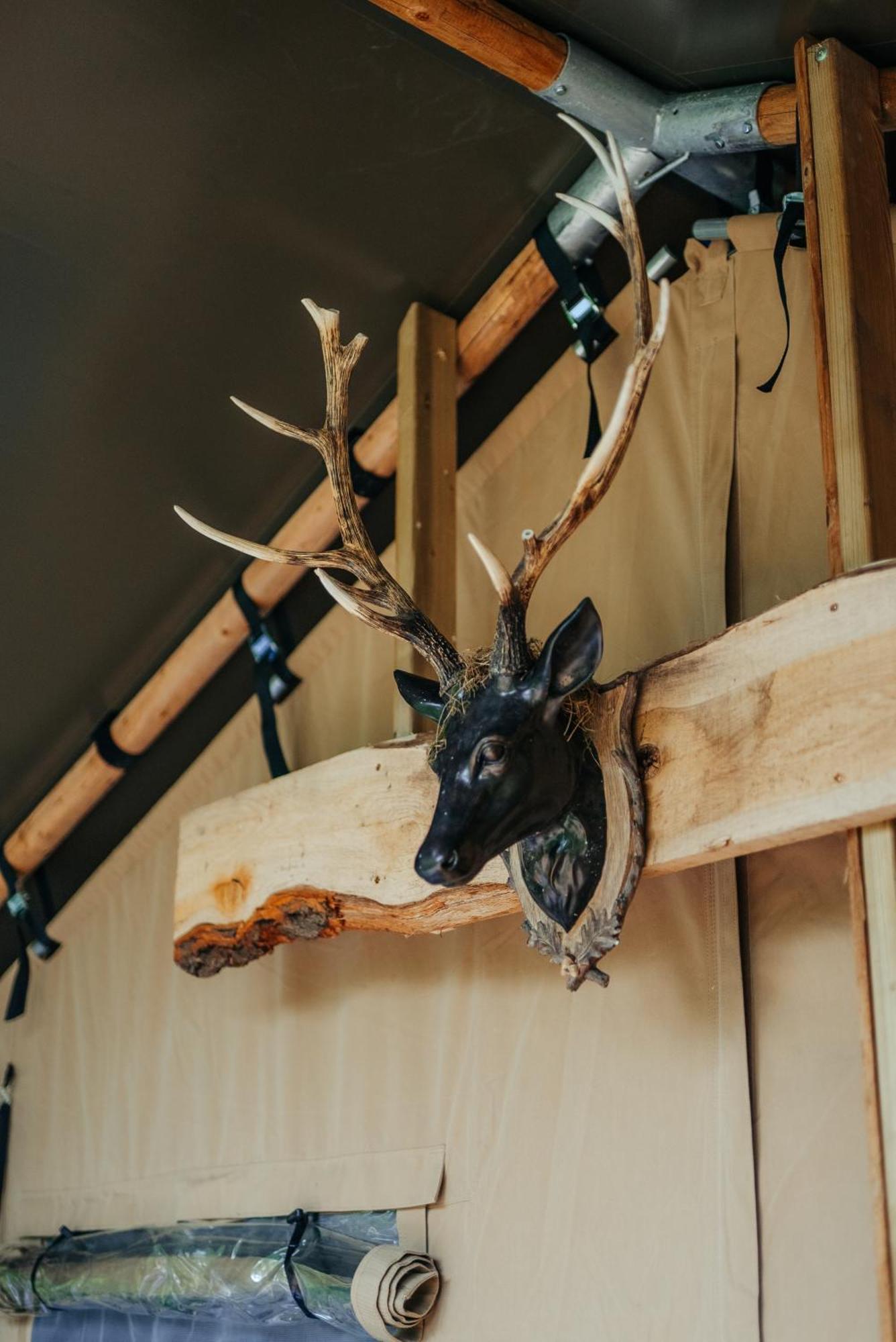 Cosy Forest Lodge Penrhos  ภายนอก รูปภาพ